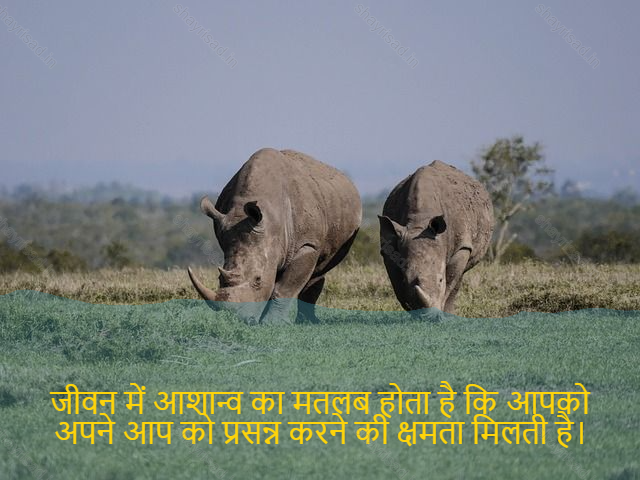 sad shayari on life-जीवन में आशान्व का मतलब होता है कि आपको अपने आप को प्रसन्न करने की क्षमता मिलती है।-Hope in life means you have the ability to be happy yourself.