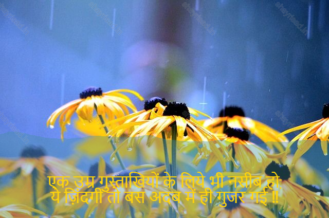sad shayri (shayari) in hindi for life-एक उम्र गुस्ताखियों के लिये भी नसीब हो,
ये ज़िंदगी तो बस अदब में ही गुजर गई !!-May one of the age - happy people,
This life has passed by no means!