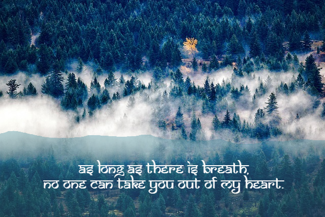 Alone sad Shayari in English-As long as there is breath, No one can take you out of my heart.