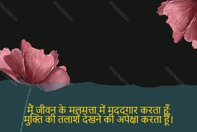 sad shayri (shayari) in hindi for life-मैं जीवन के मलमत्ता में मददगार करता हूँ, मुक्ति की तलाशें देखने की अपेक्षा करता हूँ।-I would help in the culture of life, I would rather look for salvation.