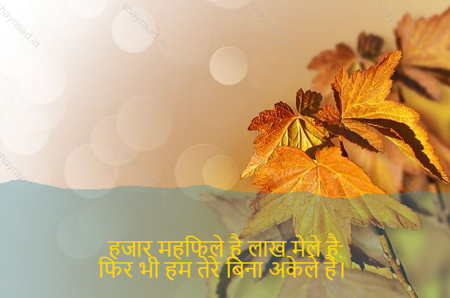 sad shayri (shayari) in English-हजार महफिले है लाख मेले है,
फिर भी हम तेरे बिना अकेले है। -One thousand is a million fairs,
Yet we are alone without you.