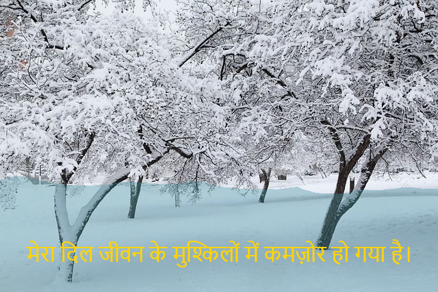 sad shayri (shayari) in hindi for life-मेरा दिल जीवन के मुश्किलों में कमज़ोर हो गया है।-My heart has weakened in the hardships of life.