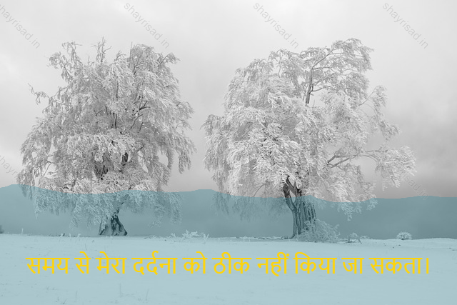 sad shayri (shayari) in hindi-समय से मेरा दर्दना को ठीक नहीं किया जा सकता।-My pain cannot be cured by the time.