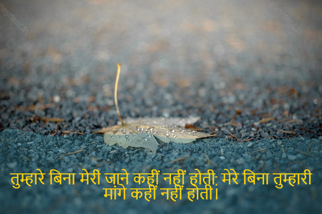 sad love shayari-तुम्हारे बिना मेरी जाने कहीं नहीं होती, मेरे बिना तुम्हारी मांगे कहीं नहीं होती।-Without you, I have no knowledge, without your demands.