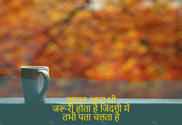 sad shayri (shayari) in English-तूफान आना भी
जरूरी होता है जिंदगी में
तभी पता चलता है
कौन हाथ पकड़ता है… और
कौन साथ छोड़ जाता है..-Come over storm
Essential happenes in life
Only then does it find out
Who hold hands... and
Who is left with..