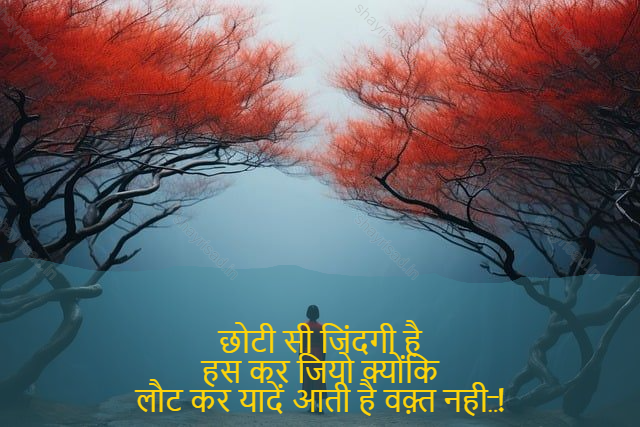 sad shayri (shayari) in English-छोटी सी जिंदगी है
हस कर जियो क्योंकि
लौट कर यादें आती है वक़्त नही..!-Have small life
Smile live because
It 's time to return and receive memories.