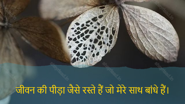 sad shayri (shayari) in hindi for life-जीवन की पीड़ा जैसे रस्ते हैं जो मेरे साथ बांधे हैं।-The agony of life is like the roads he has tied to me.