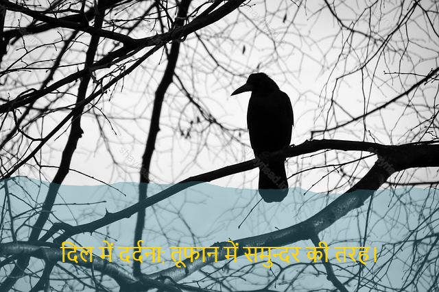 sad shayri (shayari) in hindi-दिल में दर्दना,
तूफान में समुन्दर की तरह।-A headache in the heart, like the sea in the storm.