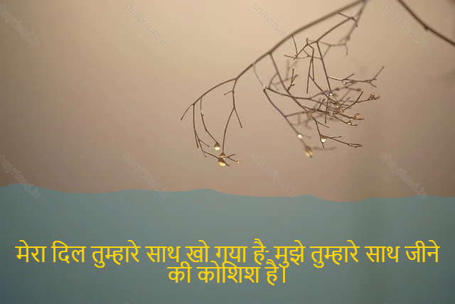 sad love shayari-मेरा दिल तुम्हारे साथ खो गया है, मुझे तुम्हारे साथ जीने की कोशिश है।-My heart is lost with you, I am tried of living with you.