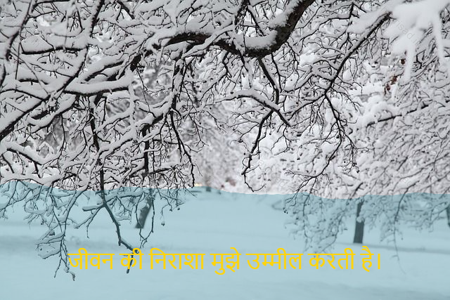 sad shayri (shayari) in hindi for life-जीवन की निराशा मुझे उम्मील करती है।-Too much despair about life seems to urge me.