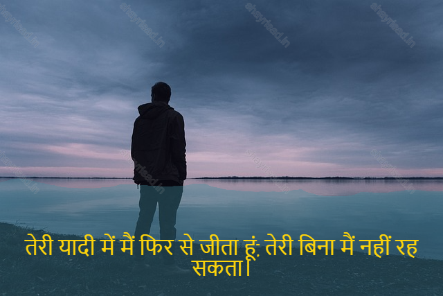 sad shayri (shayari) in hindi-तेरी यादी में मैं फिर से जीता हूं, तेरी बिना मैं नहीं रह सकता।-I live again in your memory, without you I can't survive.
