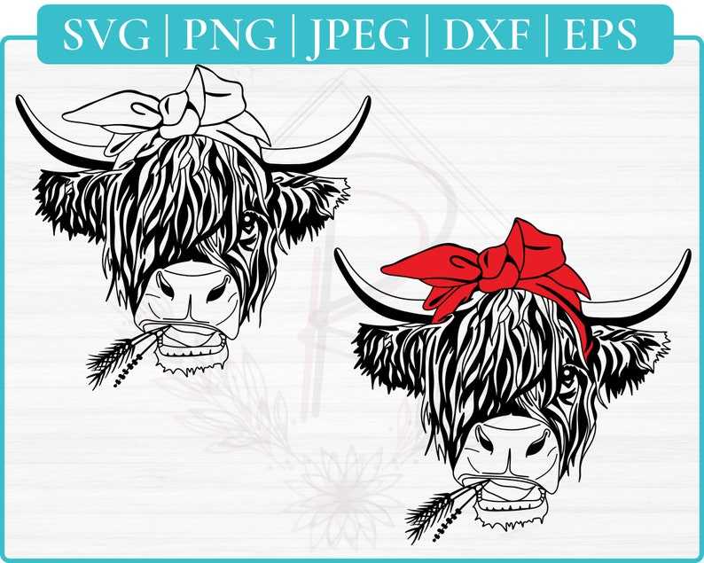 Highland Cow Svg Highland Heifer Svg Cow Svg Scottish Highland Cow with Flower Svg 