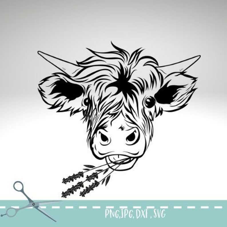 Highland Cow SVG Floral Cow Svg Cow Head Svg Cow Face#1