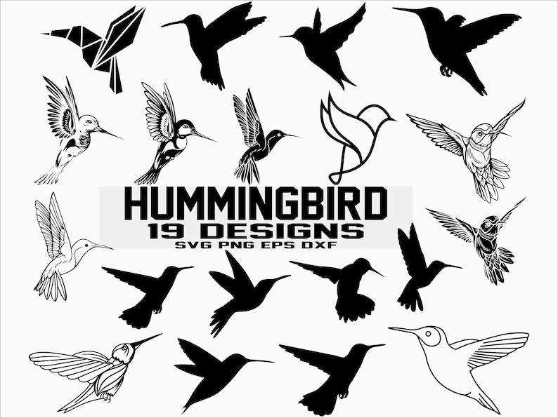 Hummingbird Svg