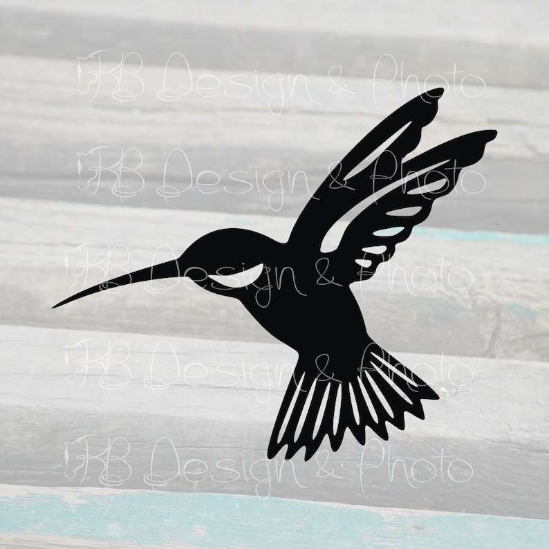 Hummingbird Svg, Hummingbird Vector &amp; Raster files- SVG PNG JPG#1