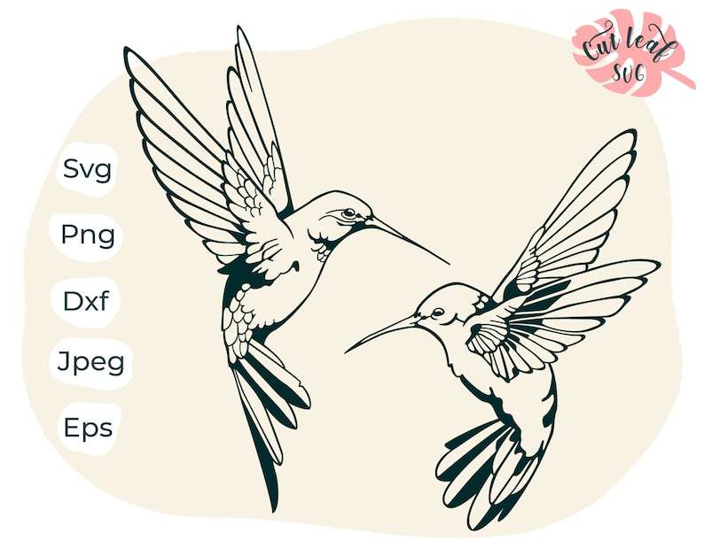 Hummingbird Svg, Hummingbird Clipart Hummingbird Cut File Bird Svg Humming Bird Svg#1