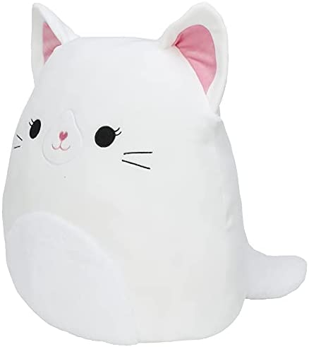 squishmallow pompompurin