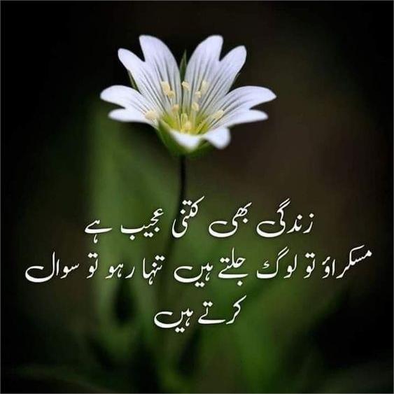 Urdu Motivational Shayari in Hindi