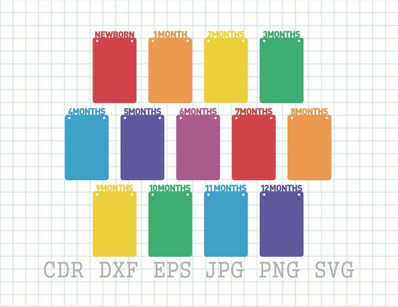 First Birthday Monthly Photo Banner svg Birthday Banner Svg#1
