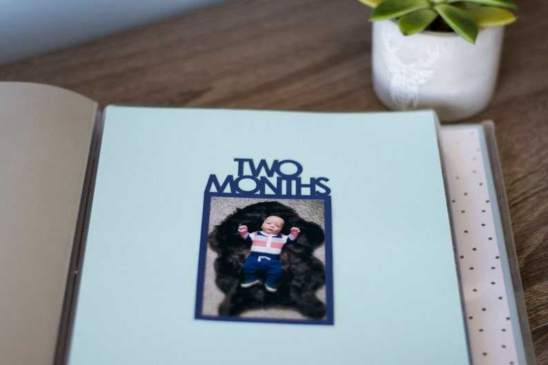 Monthly Baby Photo Svg - 12 month Photo Display  Birthday Banner Svg#2