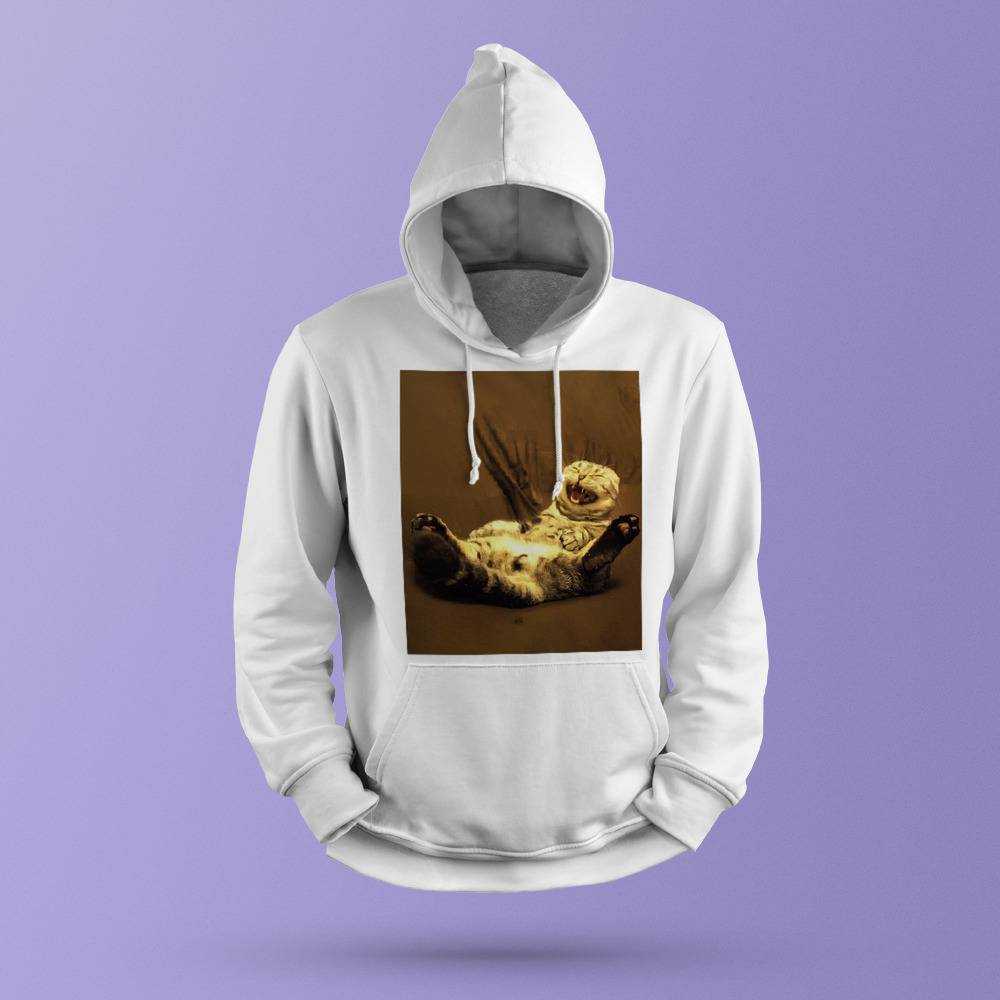 Cute hot sale cat hoodie