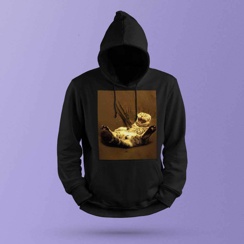 Cute cat clearance hoodie