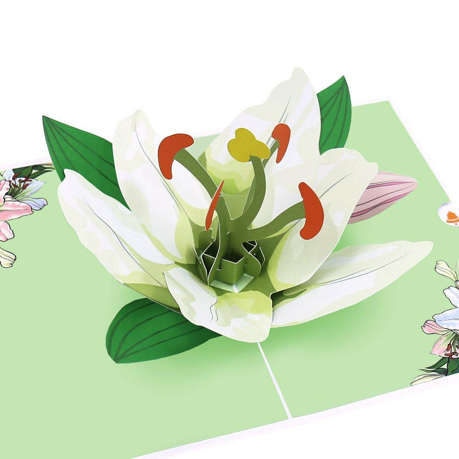 Lily Flower Bloom Pop up Card 3D Pop up Box pour la fête des mères ...