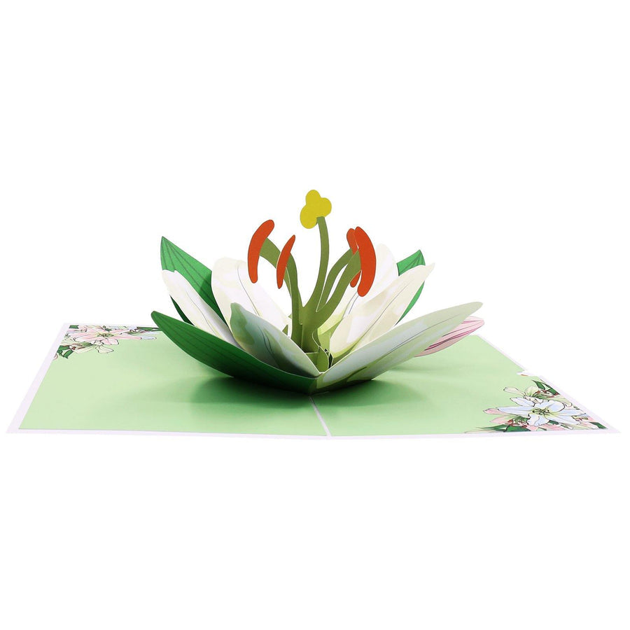 Lily Flower Bloom Pop up Card 3D Pop up Box pour la fête des mères ...