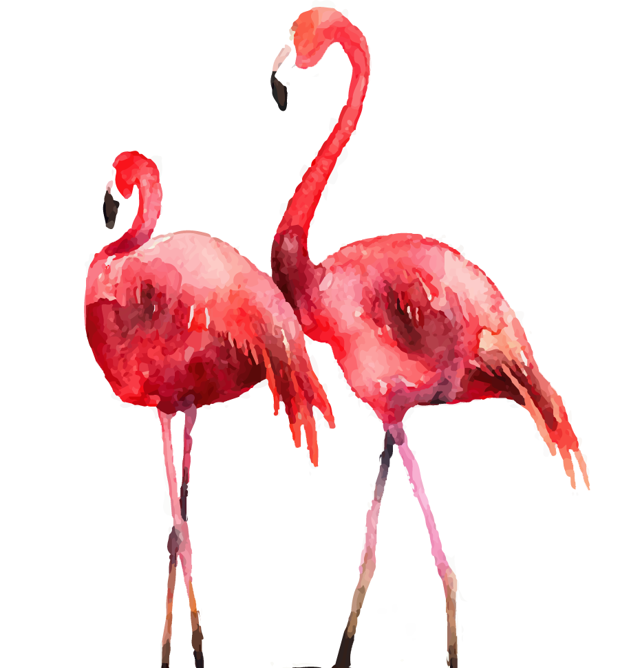 Flamingo Svg Free, Two Flamingos SVG#1