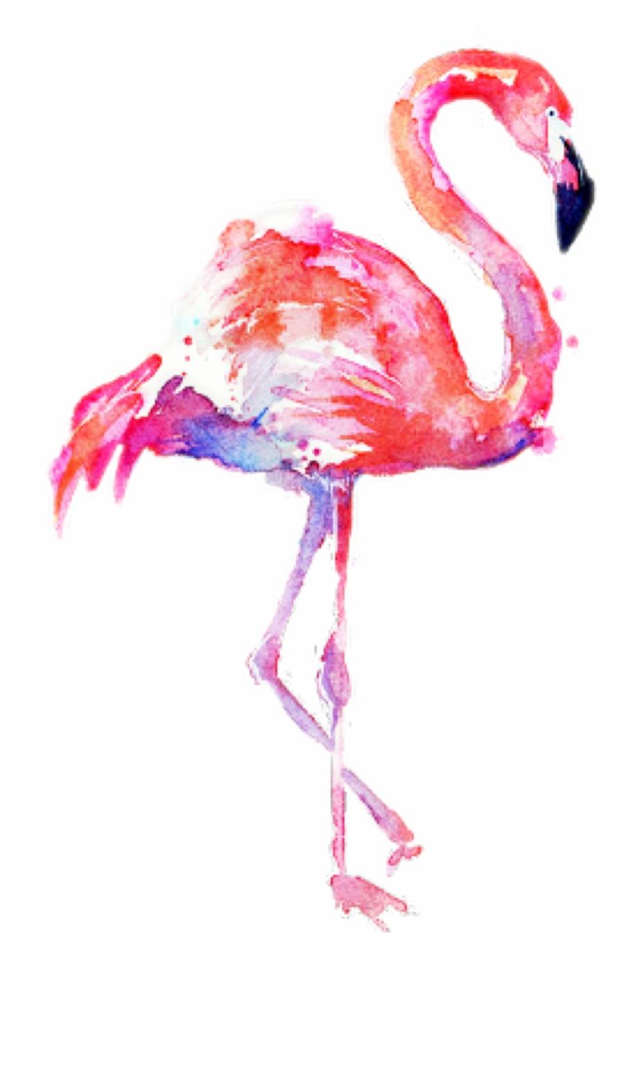 Flamingo Svg Free, Colorful Flamingo Svg#1