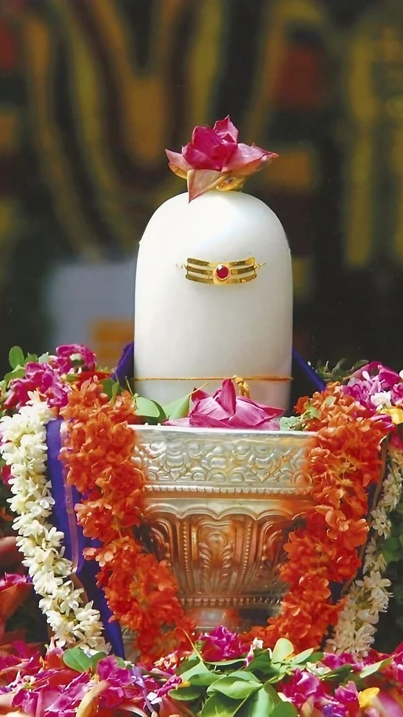 Lord Shiva Lingam Alangaram Images Hd