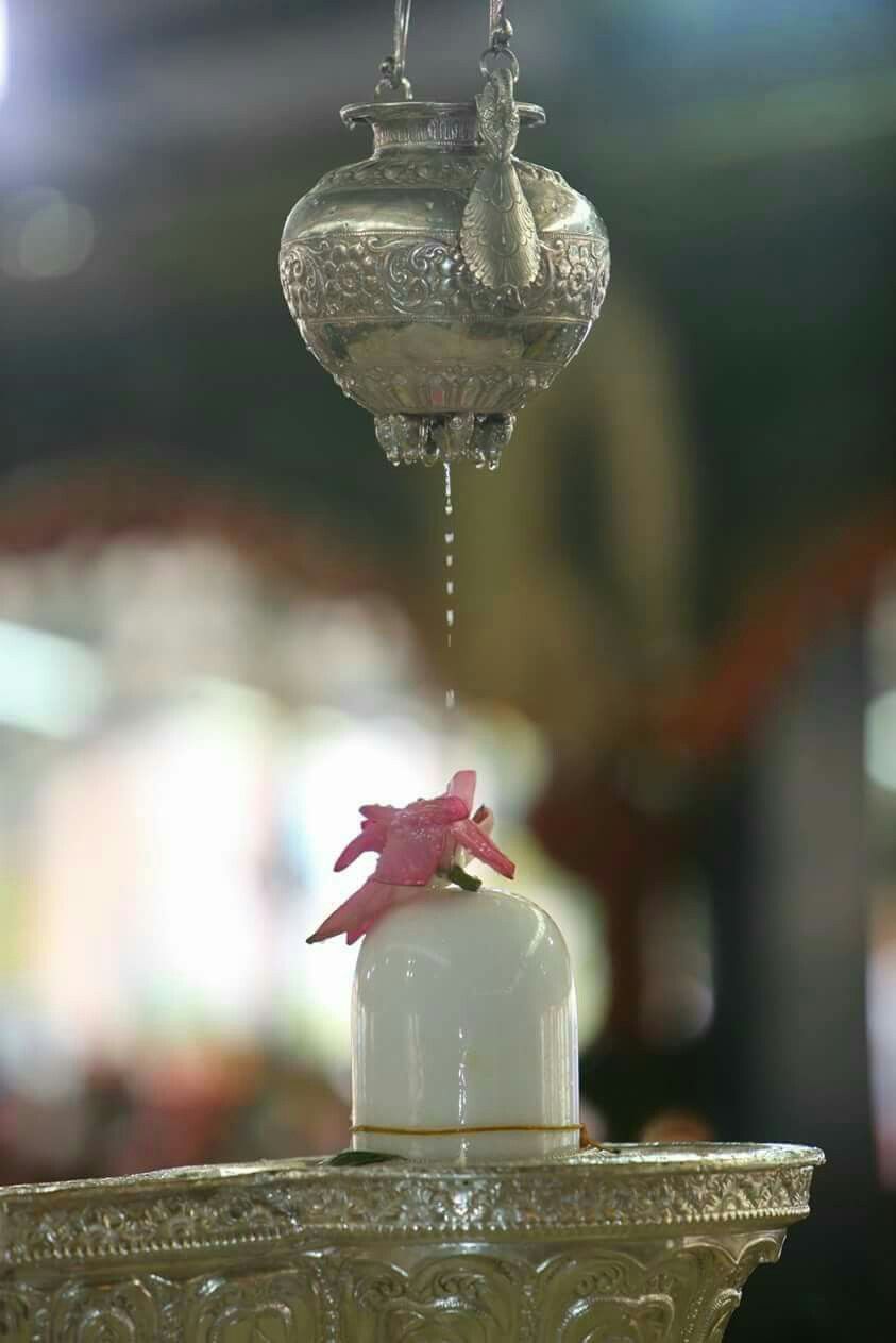 Shiva Lingam Images With Flowers