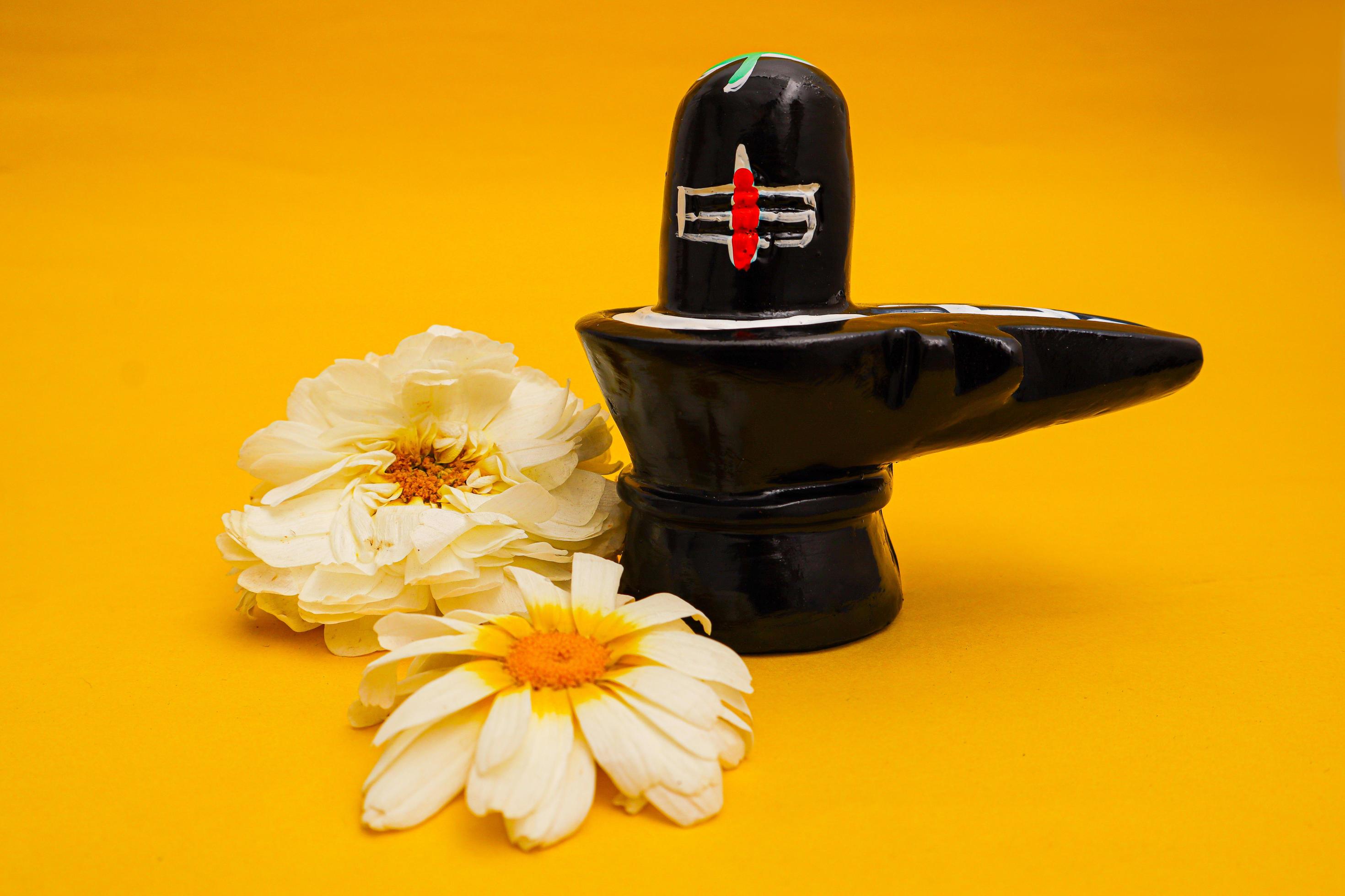 Shiva Lingam Images With Flowers