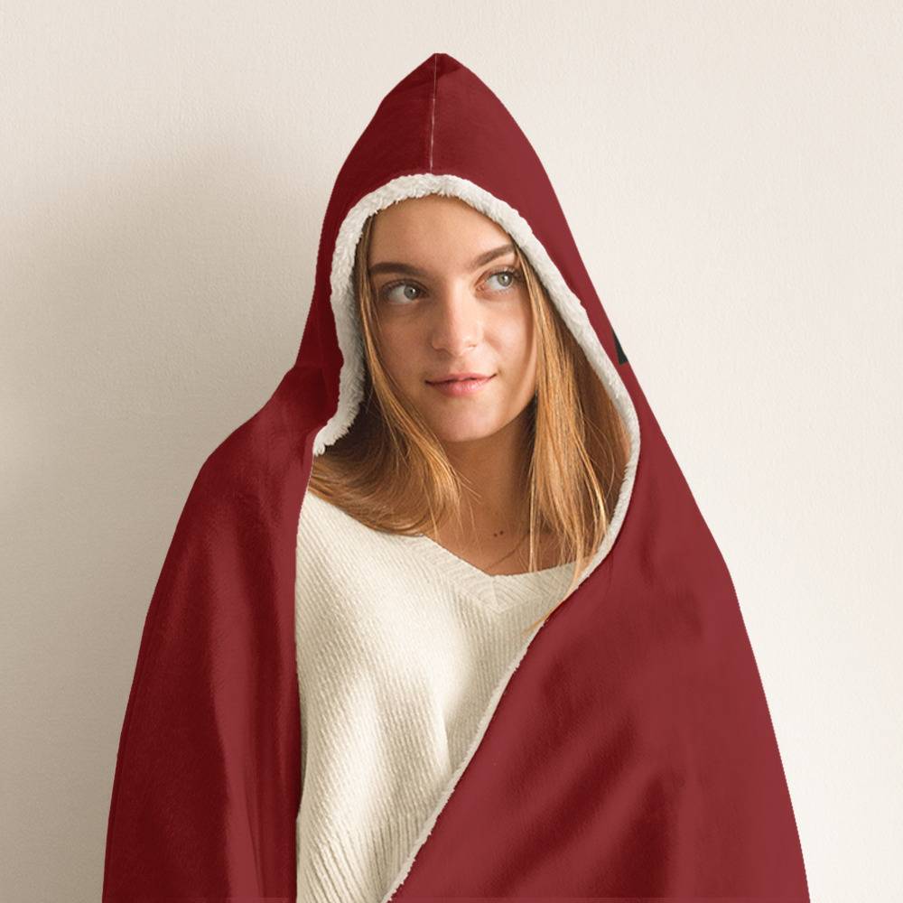 Gryffindor clearance hooded blanket