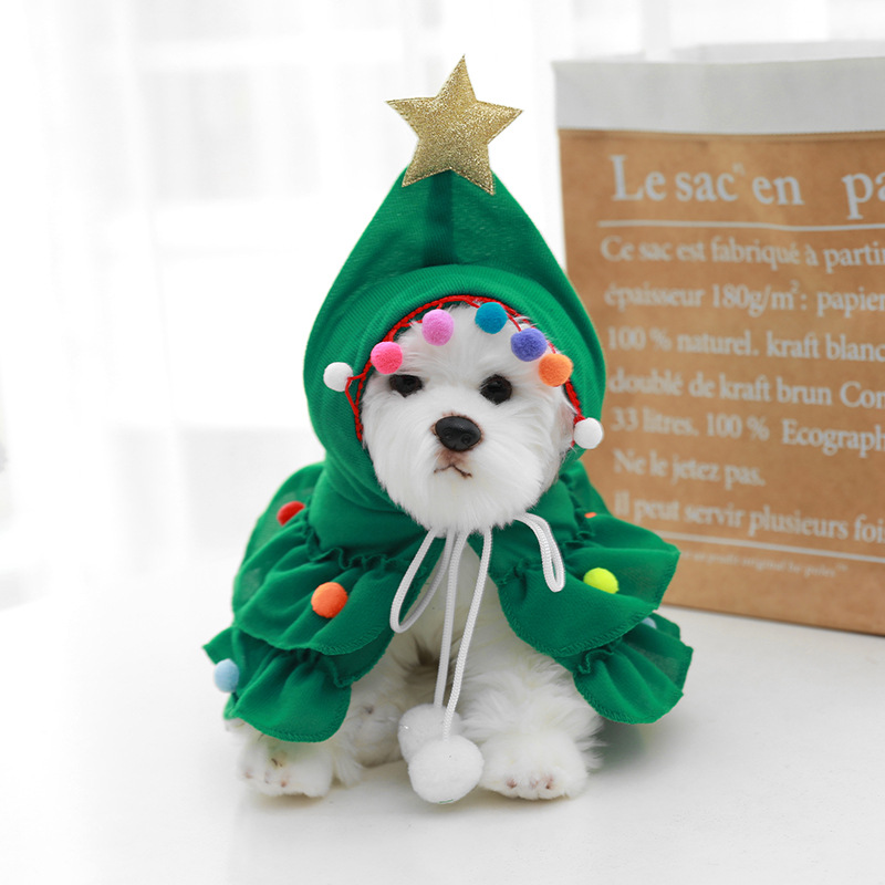 Buddy the elf outlet dog costume