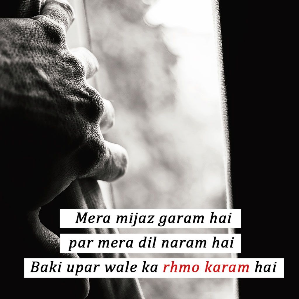 Attitude DP for Boys, Boys Attitude DP 50