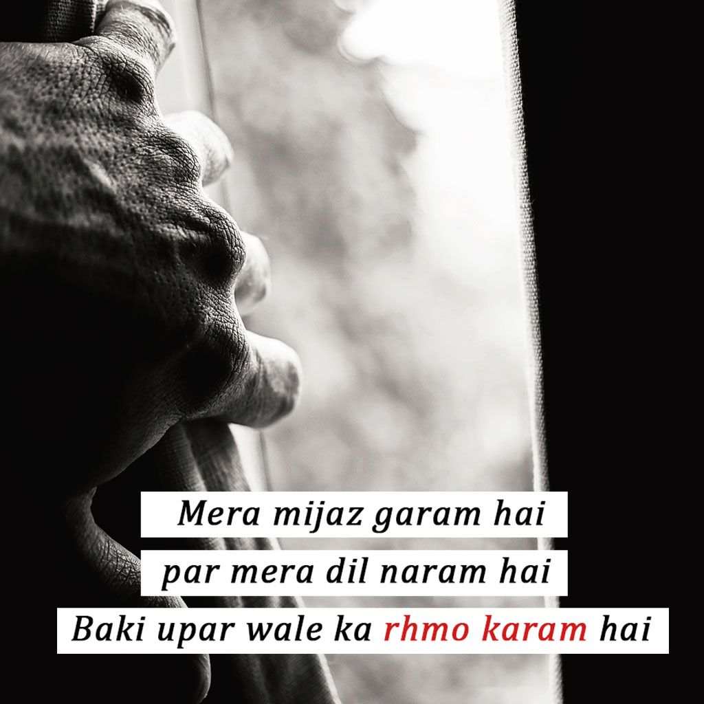 Attitude DP for Boys, Boys Attitude DP 50