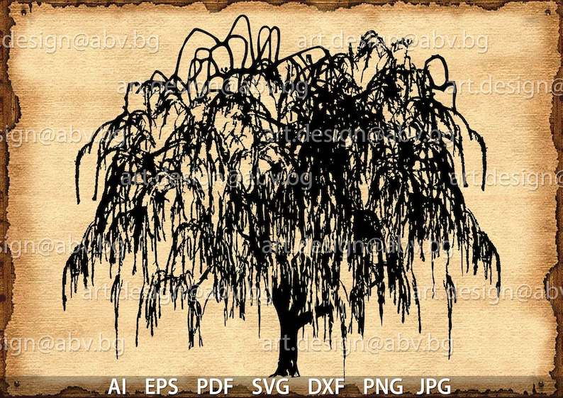Willow Tree Svg, Vector Weeping Willow Digital Download#1