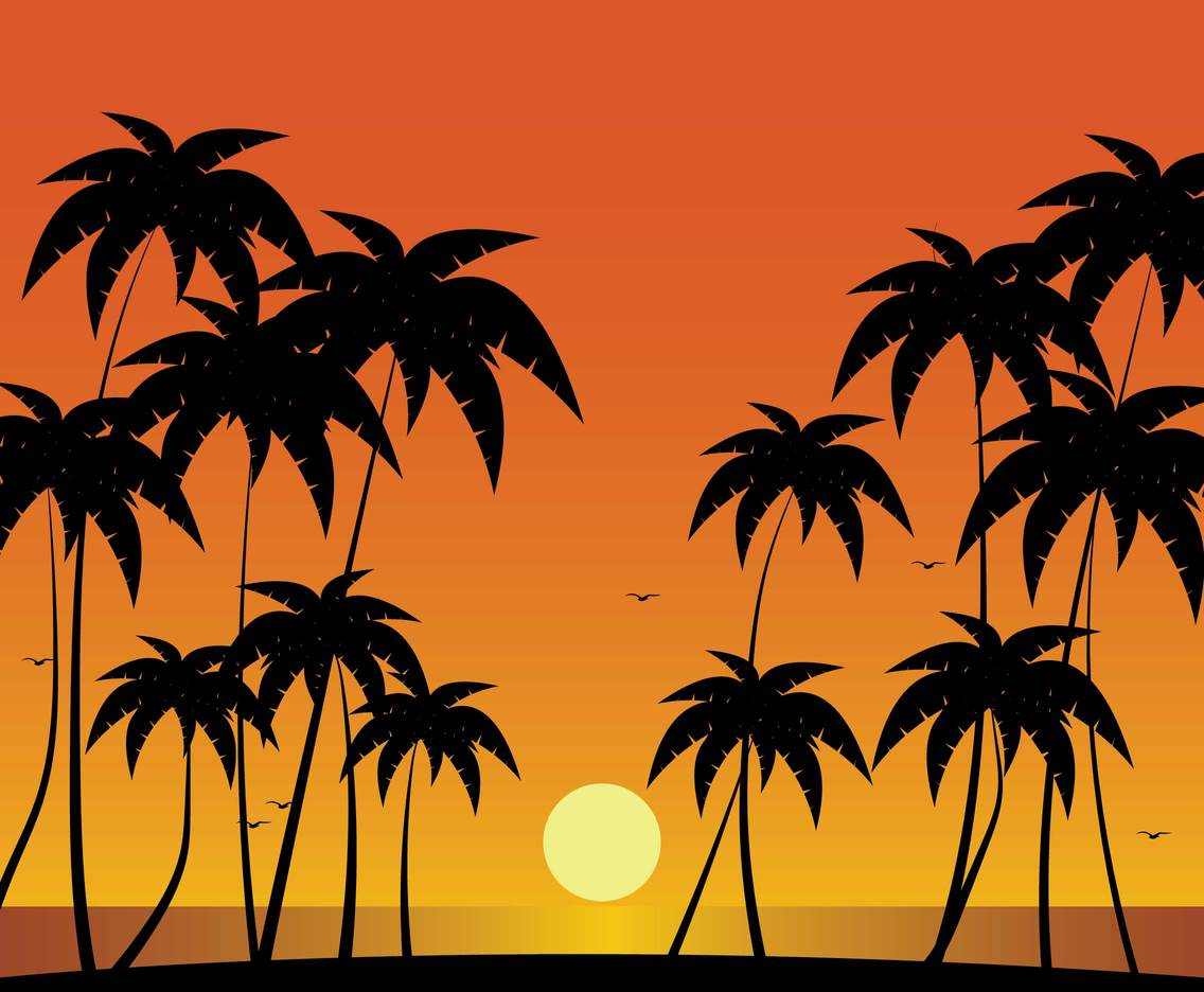 sunset palm tree silhouette