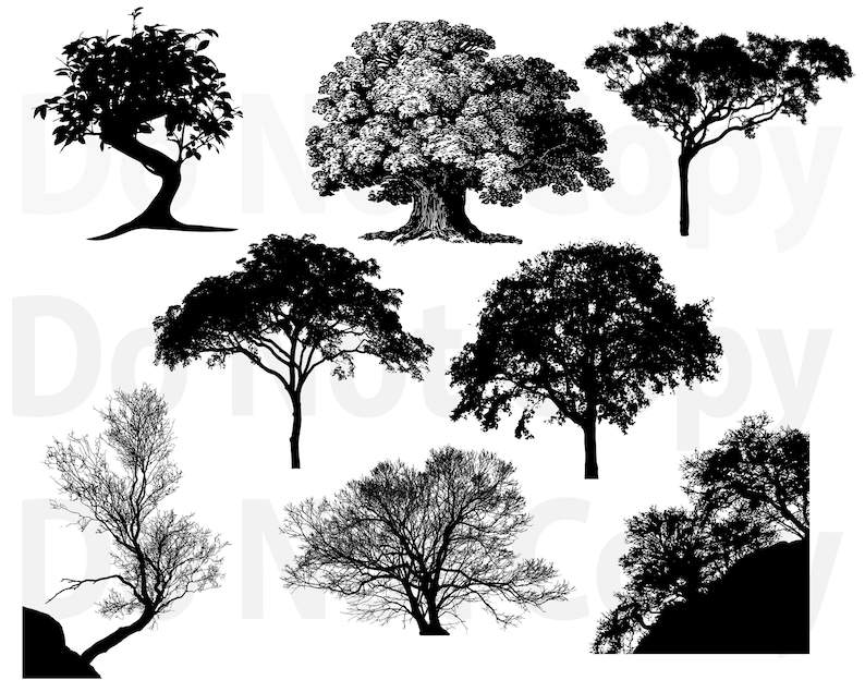 Oak Tree Svg File For Cricut 