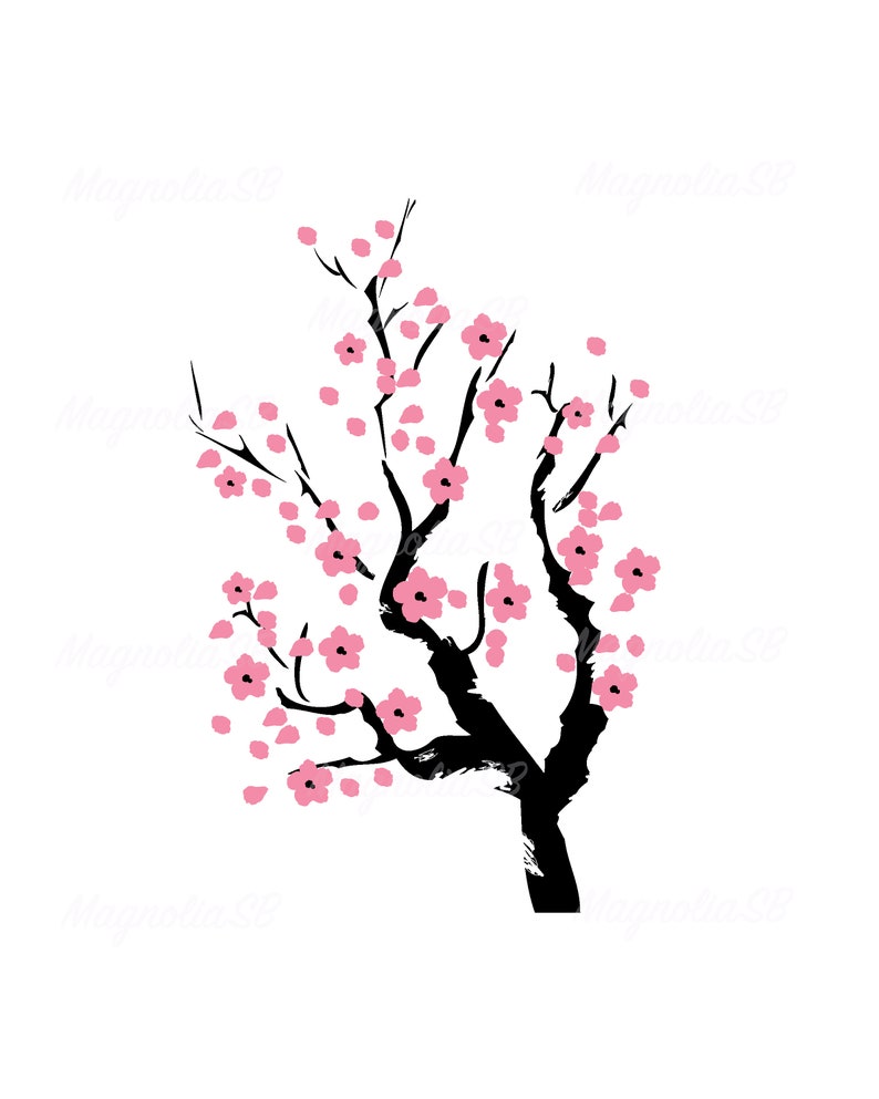 detailed drawing of cherry blossom on white background on Craiyon