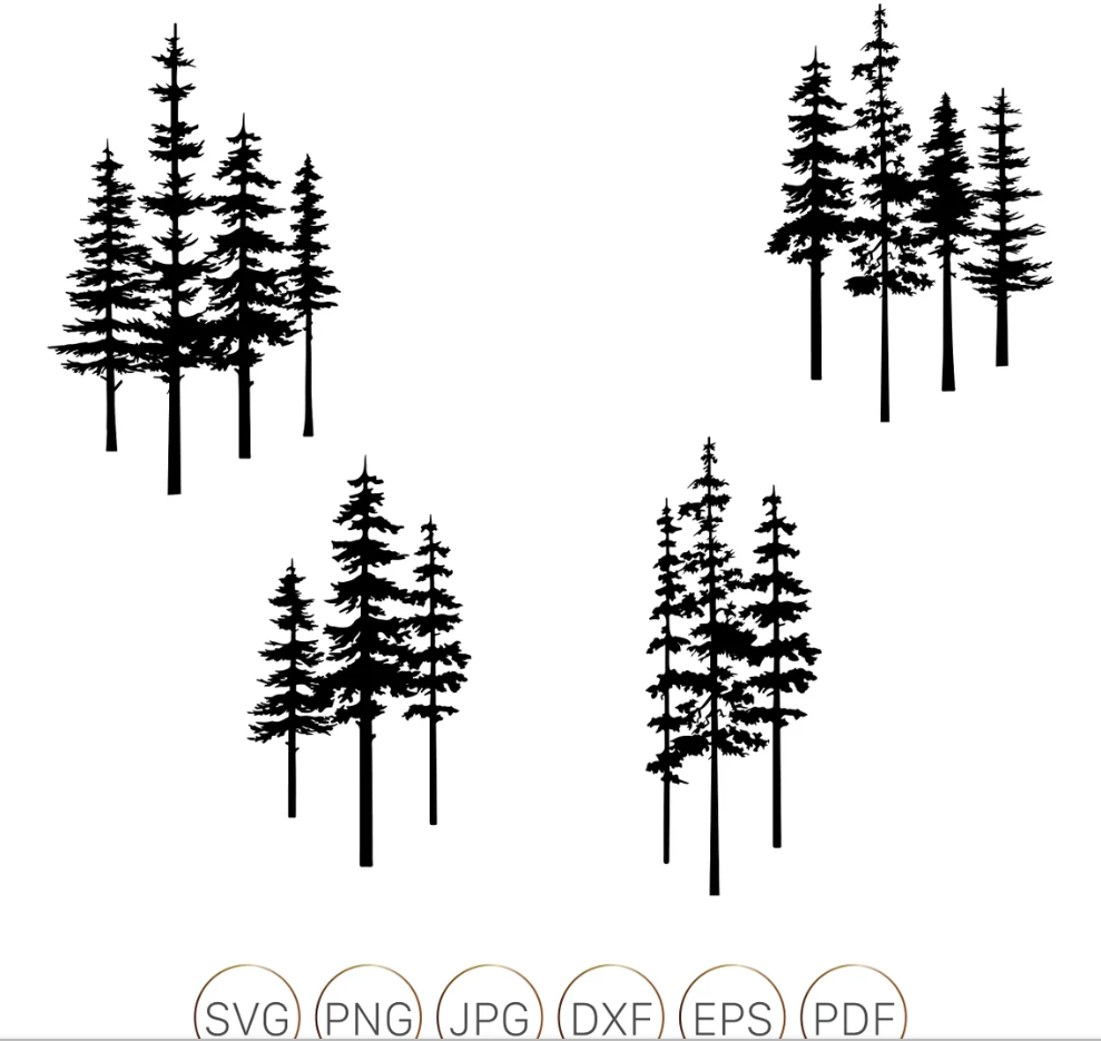 evergreen trees silhouette
