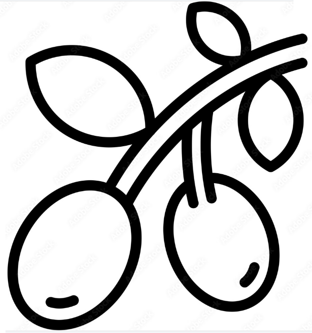 Olive Tree Svg, Olive Branch Svg