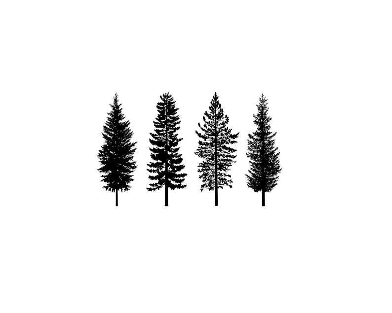 real pine trees silhouette
