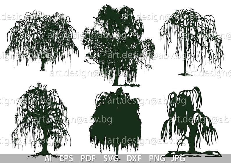 Willow Tree Svg, Vector Weeping Willow Digital Image Download#3