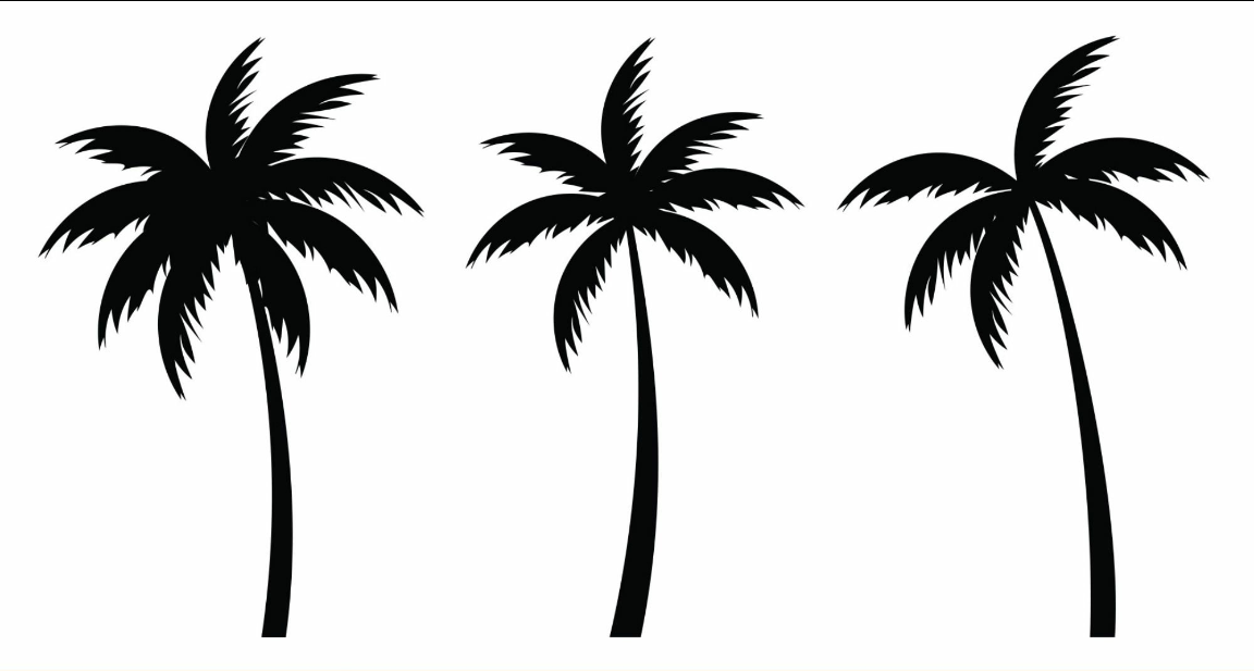 Free Palm Tree Svg Palm Trees Silhouette Free 