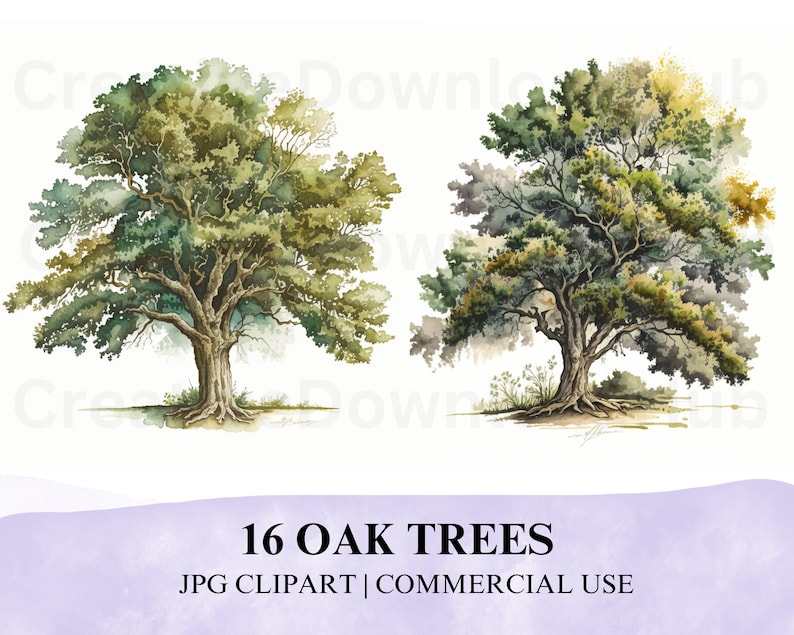 Oak Trees Clipart Jpg, Watercolor Oak Tree Download 