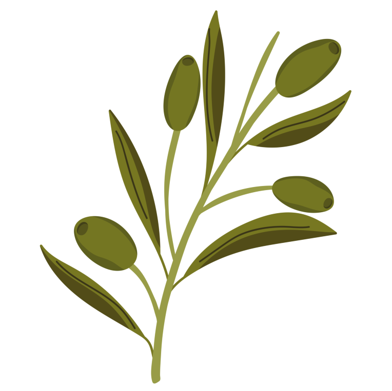 Olive Tree Svg, Colours Olive Branch Svg
