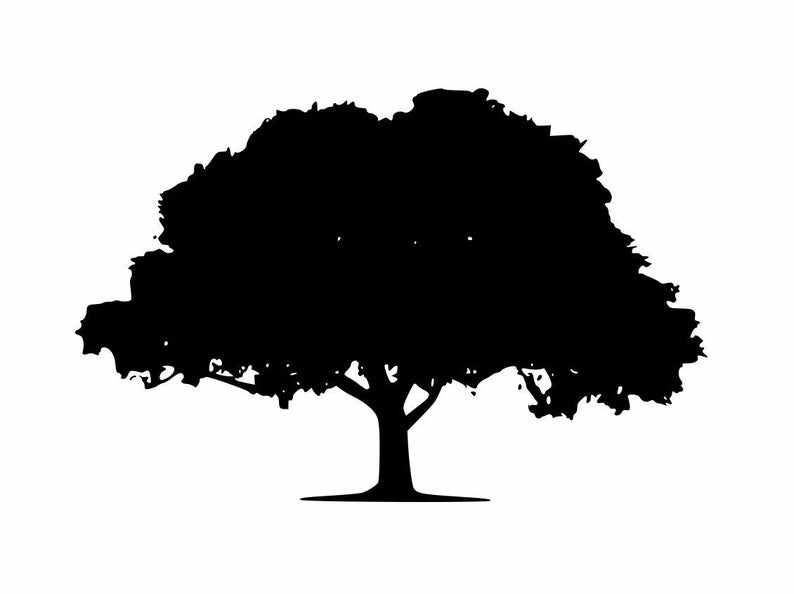 Oak Tree Svg Graphic Design#1