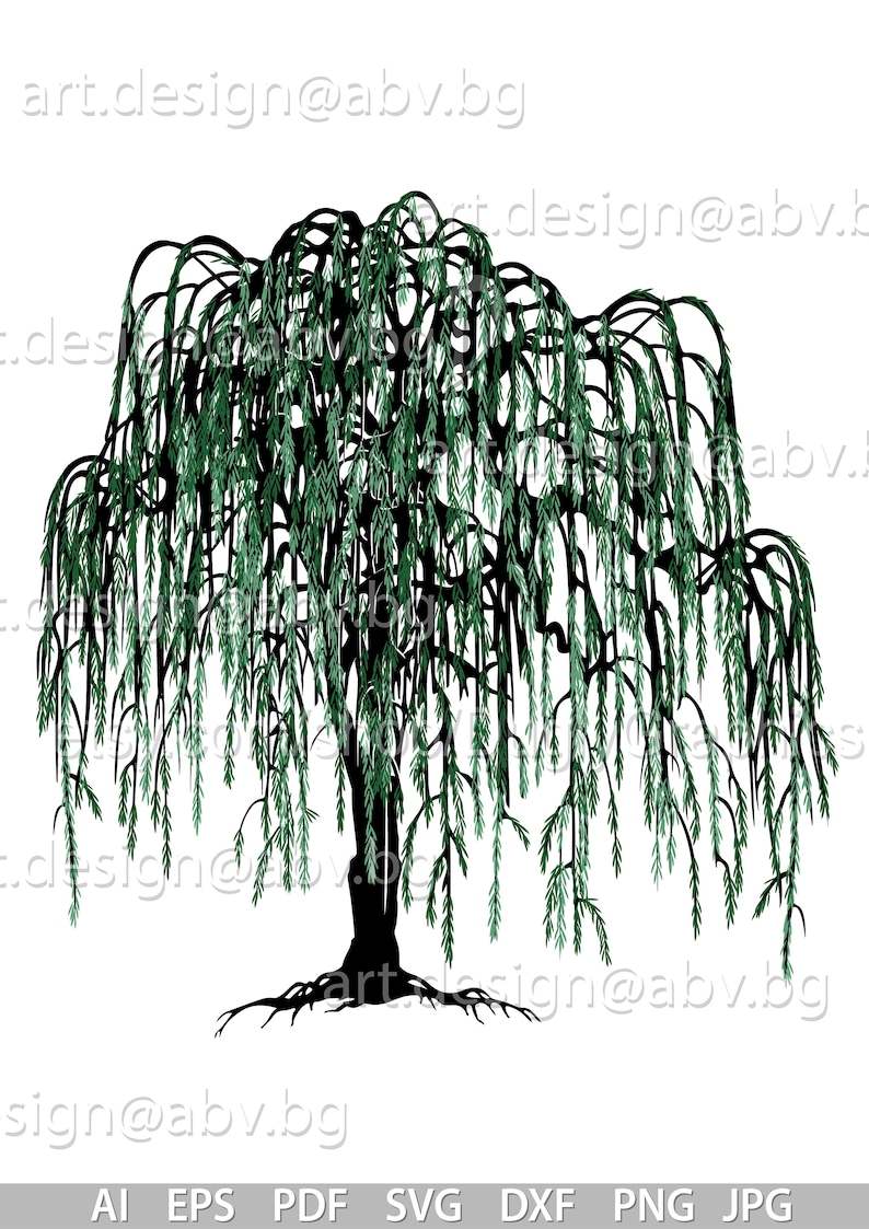 Willow Tree Svg, Vector Weeping Willow Svg Download#1